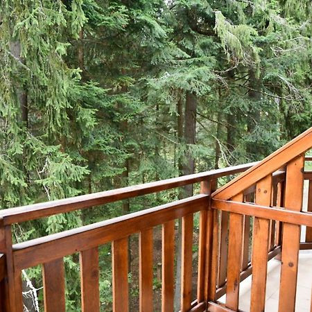 Hq Apartments Villa Park Borovets Buitenkant foto